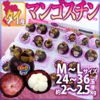 タイ産 ”マンゴスチン” M～L 24～36玉前後 約2～2.5kg【予約 3月下旬以降】 送料無料