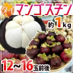 タイ産 ”マンゴスチン” M～L 12～16玉前後 約1kg【予約 3月下旬以降】 送料無料