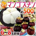 ショッピング果物 タイ産 ”マンゴスチン” M〜L 6〜8玉前後 約500g【予約 3月下旬以降】 送料無料