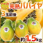  America Гаваи .~.. папайя ~ 3 шар передний и задний (до и после) примерно 1.5kg фрукты pa пирог a[ предварительный заказ поступление последовательность отправка ] бесплатная доставка 