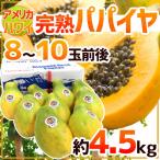 アメリカ ハワイ州 ”完熟パパイヤ” 8〜10玉前後 約4.5kg フルーツパパイア【予約 入荷次第発送】 送料無料