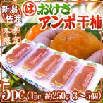  Niigata * Садо перо . производство ~....... хурма ~ 5pc(1pc 3~5 шар примерно 250g)... хурма [ предварительный заказ 11 месяц после ] бесплатная доставка 