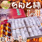 ”ちんと柿” L〜3L 約4.5〜5kg 中国産【予約 入荷次第発送】 送料無料