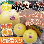  Kumamoto префектура . плата Special производство ~. белый .~..... превосходящий товар L размер 2 шар несессер ввод [ предварительный заказ 12 месяц после ] бесплатная доставка 