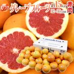 南アフリカ産 ”グレープフルーツ ルビー” 大玉32〜35玉前後 約15kg【予約 6月中旬以降】 送料無料