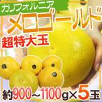 ~ California производство mero Gold ~ очень большой jumbo размер 5 шар примерно 4.5kg[ предварительный заказ 11 конец месяца после ] бесплатная доставка 