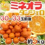 ”ミネオラオレンジ” 30〜33玉前後 約5kg カリフォルニア産 ミネオラタンジェロ【予約 3月以降】 送料無料