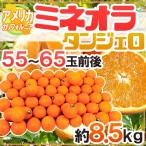 ”ミネオラオレンジ” 55〜65玉前後 約8.5kg カリフォルニア産 ミネオラタンジェロ【予約 3月以降】 送料無料