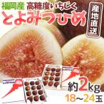 [ прямая поставка от производителя ] Fukuoka префектура высота сахар раз инжир ~......~ превосходящий товар L размер 9~12 шар примерно 1kg×{2 коробка }[ предварительный заказ 8 месяц последняя декада ~9 месяц ] бесплатная доставка 
