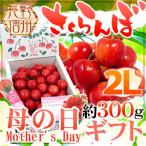 ショッピングさくらんぼ 母の日ギフト 長野産 ”さくらんぼ” 大粒2Lサイズ 産地箱 約300g カーネーション造花付き 佐藤錦/香夏錦【予約 5月3日〜5月12日お届け予定】 送料無料