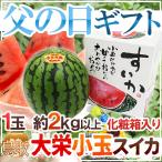 父の日ギフト ”大栄小玉スイカ 姫甘泉” 1玉 約2kg以上+黄色バラ造花1本 専用産地箱 鳥取産【予約 6月8〜15日お届け予定】 送料無料