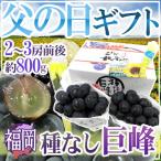 父の日ギフト ”種なし巨峰” 秀品 2〜3房 約800g+黄色バラ造花1本【予約 6月8〜15日お届け予定】 送料無料