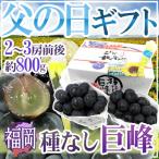 父の日ギフト ”種なし巨峰” 秀品 