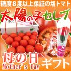 ショッピングセレブ 遅れてごめんね！母の日ギフト ”太陽の子セレブトマト” 産地箱 約900g カーネーション造花付き【予約 5月13日以降】 送料無料