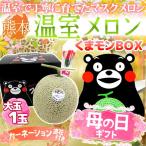 母の日ギフト ”マスクメロン” くまモン化粧箱 1玉 約1.5kg以上 カーネーション造花 熊本産【予約 5月3日〜5月12日お届け予定】 送料無料