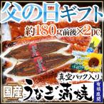 ショッピングうなぎ 父の日 父の日ギフト ”うなぎ蒲焼” 黄色バラ造花付き 約180g前後×2pc 真空パック入り 国産【予約 6月9〜16日お届け予定】 送料無料