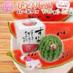母の日ギフト ”小玉すいか ひとりじめ” カーネーション造花付き 化粧箱 2L〜3L 1玉 約2〜2.5kg【予約 5月3日〜5月11日お届け予定】 送料無料