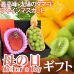 母の日ギフト ”シャインマスカットと宮崎マンゴー 太陽のタマゴ” 大玉2L カーネーション造花【予約 5月2日〜5月10日お届け予定】 送料無料