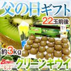 父の日ギフト ”ゼスプリ グリーンキウイ” 22玉前後 約3kg＋黄色バラ造花1本 ニュージーランド産【予約 6月9〜16日お届け予定】 送料無料