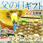 【送料無料】遅れてごめんね!父の日ギフト ”ゼスプリ サンゴールドキウイ” 22玉前後 約3kg+黄色バラ造花1本 ニュージーランド産【予約 6月17日以降】