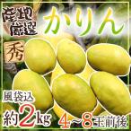 ショッピング果物 ”かりん” 秀品 4〜8玉前後 約2kg 産地厳選【予約 10月中旬以降】 送料無料