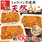 ”天然うに” 約100g×《3pc》 チリ産 生食用 ブランチ製法 ミョウバン不使用 送料無料