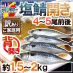 ノルウェー ”塩鯖開き” 訳あり 4〜5尾前後 約1.5〜2kg 背開き 塩サバ 送料無料