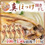 ショッピング北海道 北海道 ”真ほっけ 開き干し” 約100〜150g×《10尾》 ホッケ 送料無料