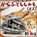 ”カラフトししゃも（オス）” 約1kg 訳あり カラフトシシャモ/樺太ししゃも 送料無料