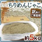 ショッピング訳あり 国産 ”ちりめんじゃこ” 訳あり 約5kg しらす干し 送料無料