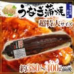 ”うなぎ蒲焼” 約380〜400g前後 中国産 ウナギ/鰻/有頭腹開 送料無料