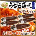 ショッピングうなぎ ”うなぎ蒲焼” 約380〜400g前後×5pc 中国産 ウナギ/鰻/有頭腹開 送料無料