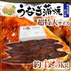 ”うなぎ蒲焼” 約4〜5kg 中国産 ウナギ/鰻/有頭腹開 送料無料
