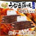 ”うなぎ蒲焼” 約8〜10kg(約4〜5kg×2箱) 中国産 ウナギ/鰻/有頭腹開 送料無料