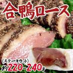 ¡É¹ç³û¥í¡¼¥¹¡É ¥¹¥Æ¡¼¥¥«¥Ã¥È Ìó220¡Á240g ¥¿¥¤»º