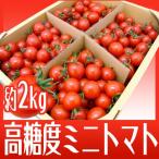  Wakayama производство фрукты мини помидоры ~ Carol seven ~ примерно 2kg[ предварительный заказ 11 месяц средний . после ] бесплатная доставка 