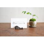 かたつむりカードフォルダ | 鈴木盛