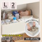 仕切りが動く収納ボックス Lサイズ2個セット [ カラーボックス用 ] インナーボックス 仕切りがパタパタ動かせる 収納ケース お薬ケース 引き出し収納