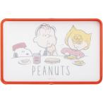 ショッピングまな板 Skater スケーター KTMT1AG 抗菌両面ガード付きまな板  スヌーピー ピーナッツ