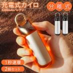 充電式カイロ モバイルバッテリー 分離式 小型 軽量 速暖 3段階温度調節 シェアウォーマー 電子カイロ 電気カイロ カイロ エネタンポ ギフト あったか 防寒対策