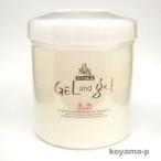 株式会社ピュア トリプルAゲルアンドゲル500g