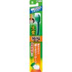 小林製薬株式会社 生葉（しょうよう）極幅ブラシ レギュラーヘッド やわらかめ 1本(※緑・赤・青のカラー選択はできません) ＜歯槽膿漏対策歯ブラシ＞