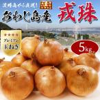  шар лук порей 5kg 1 коробка Awaji Island ..(.....) большой маленький оставив решение кому-то другому размер ... остров premium лук репчатый специальный отбор tama лук-батун для бытового использования подарок подарок площадь 