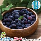 ショッピングお中元 アイス お取り寄せ グルメ ギフト　北海道産 冷凍 ハスカップ｜500g｜贈物 プレゼント お中元 お歳暮 敬老の日 お礼 ギフト広場