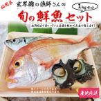 鮮魚ボックス 旬の鮮魚セット　1kg(1箱)　玄界灘産　お任せセット　福岡県　活魚を絞めて出荷いたします ギフト広場