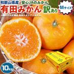 有田 みかん 家庭用 10kg箱 Mサイズ JAありだ AQ (訳あり有田クオリティ) 和歌山県産  傷あり JAの正規品 AQ ギフト広場