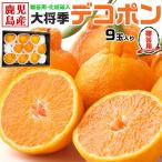 ショッピングデコポン 大将季 デコポン 贈答用 不知火 化粧箱 9玉入 光糖度センサー検査済 高級みかん ギフト広場