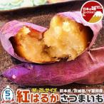 .. .. батат 5kg M-2L размер 10-47 шт. входит . для бытового использования Kumamoto префектура / Ibaraki префектура / Chiba префектура производство .. Satsuma клубень сырой клубень коробка покупка овощи жарение клубень тоже OK подарок площадь 