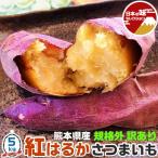  есть перевод .. .. батат 5kg средний - большой размер 10-45 шт. входит царапина есть нестандартный *. для бытового использования Kumamoto префектура производство .. Satsuma клубень сырой клубень коробка покупка овощи жарение клубень тоже OK подарок площадь 