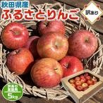 秋田県産 ふるさと サンふじ りんご 約5kg りんご 訳あり 5キロ サンふじ 家族 家庭向け 秋田ふるさと 林檎 お買得 アウトレット ギフト広場